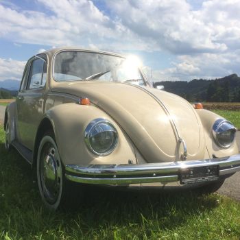 Hochzeitsauto VW-Käfer